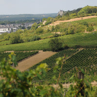 Clos du Chêne Vert 2023