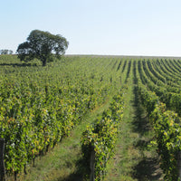 Les Varennes du Grand Clos 2014