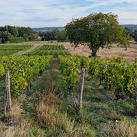 Les Varennes du Grand Clos 2024 "En-primeur"
