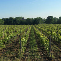 La Cure 2019 - Charles Joguet