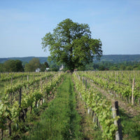 Les Charmes 2015 - Charles Joguet