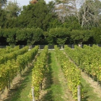 Les Charmes blanc 2019 - Charles Joguet