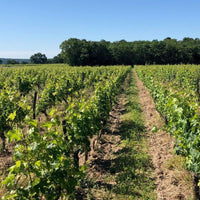 Rosé 2022 - Charles Joguet